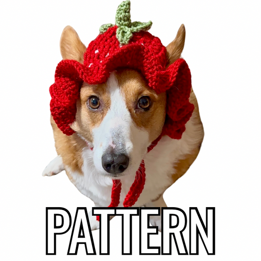 Strawberry Bucket Crochet Pet Beanie Pattern