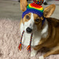 Pride Pupper Beanie