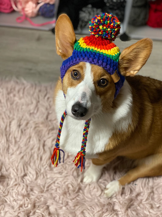 Gorro de cachorro Pride