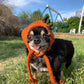 Pumpkin Pupper Beanie