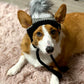 Cookies & Cream Pet beanie