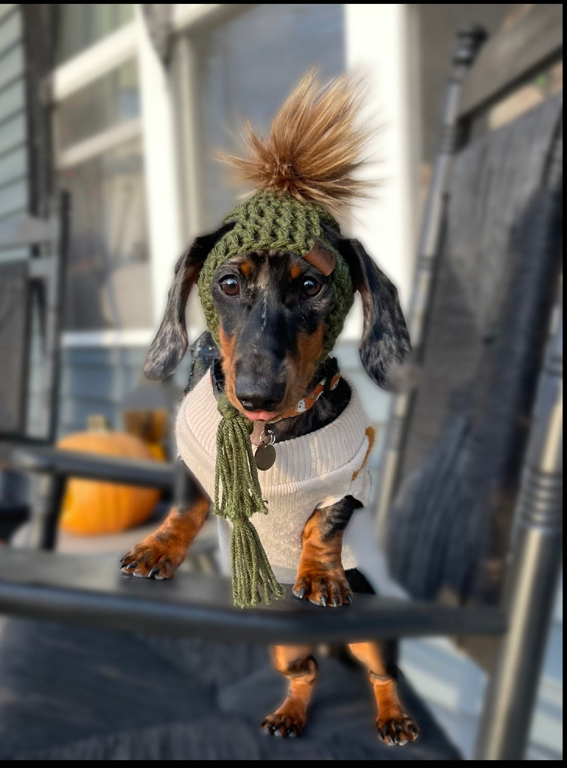 Pupper Beanie