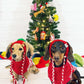 Gorro navideño para mascotas