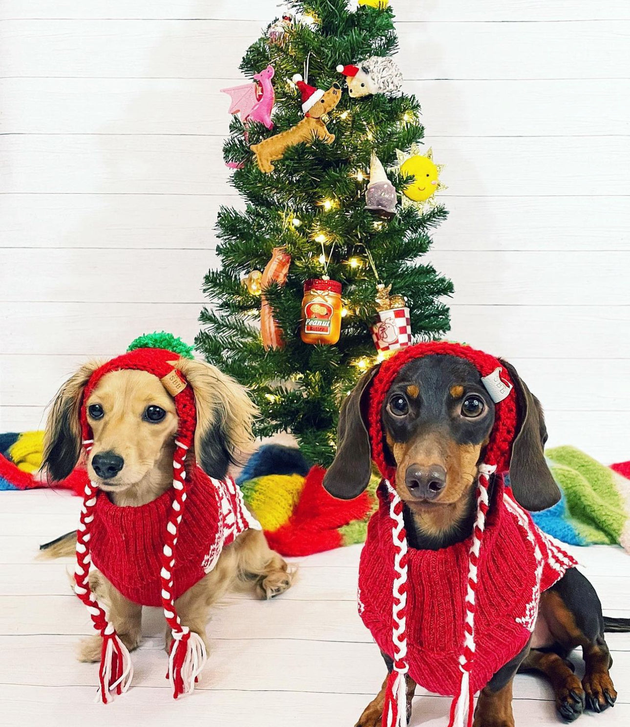 Gorro navideño para mascotas