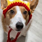 Conjunto de gorro para mamá y mascota inspirado en los KC Chiefs