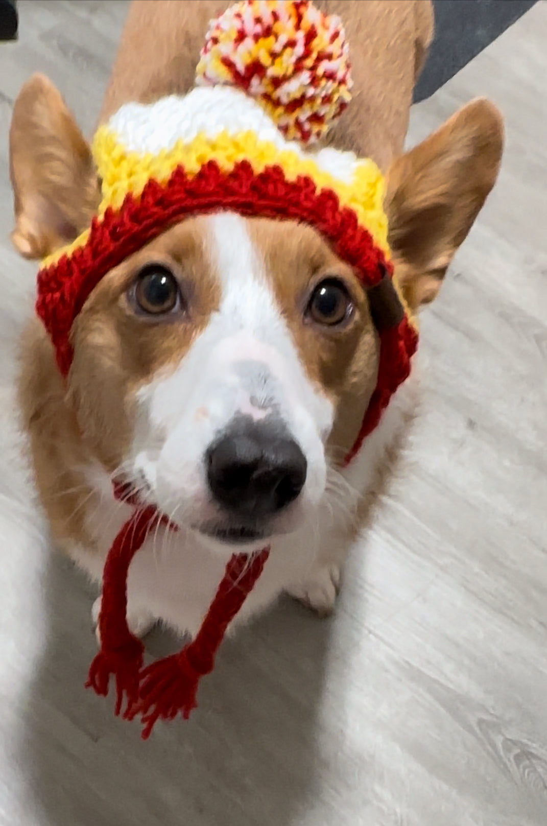 Conjunto de gorro para mamá y mascota inspirado en los KC Chiefs