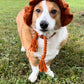 Pumpkin Bucket Beanie