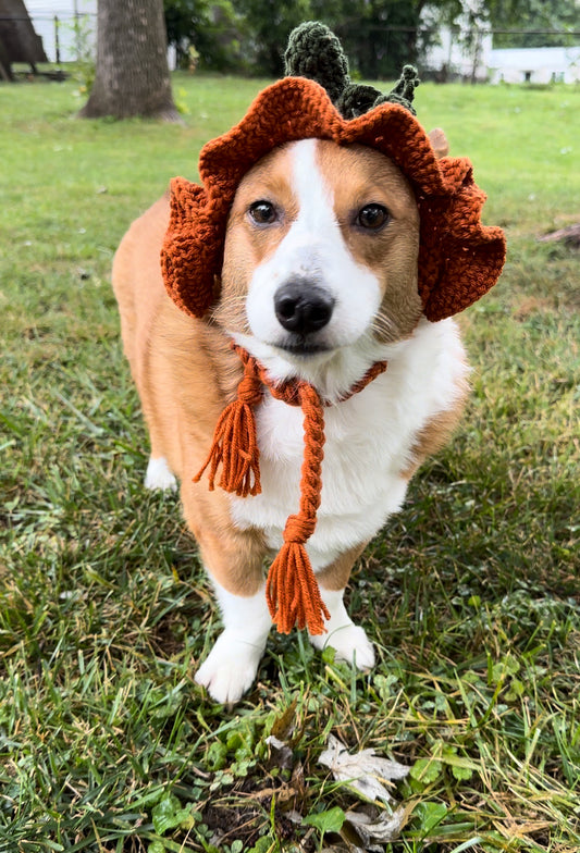 Pumpkin Bucket Beanie