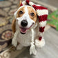 Bonnet de Père Noël en forme de chiot