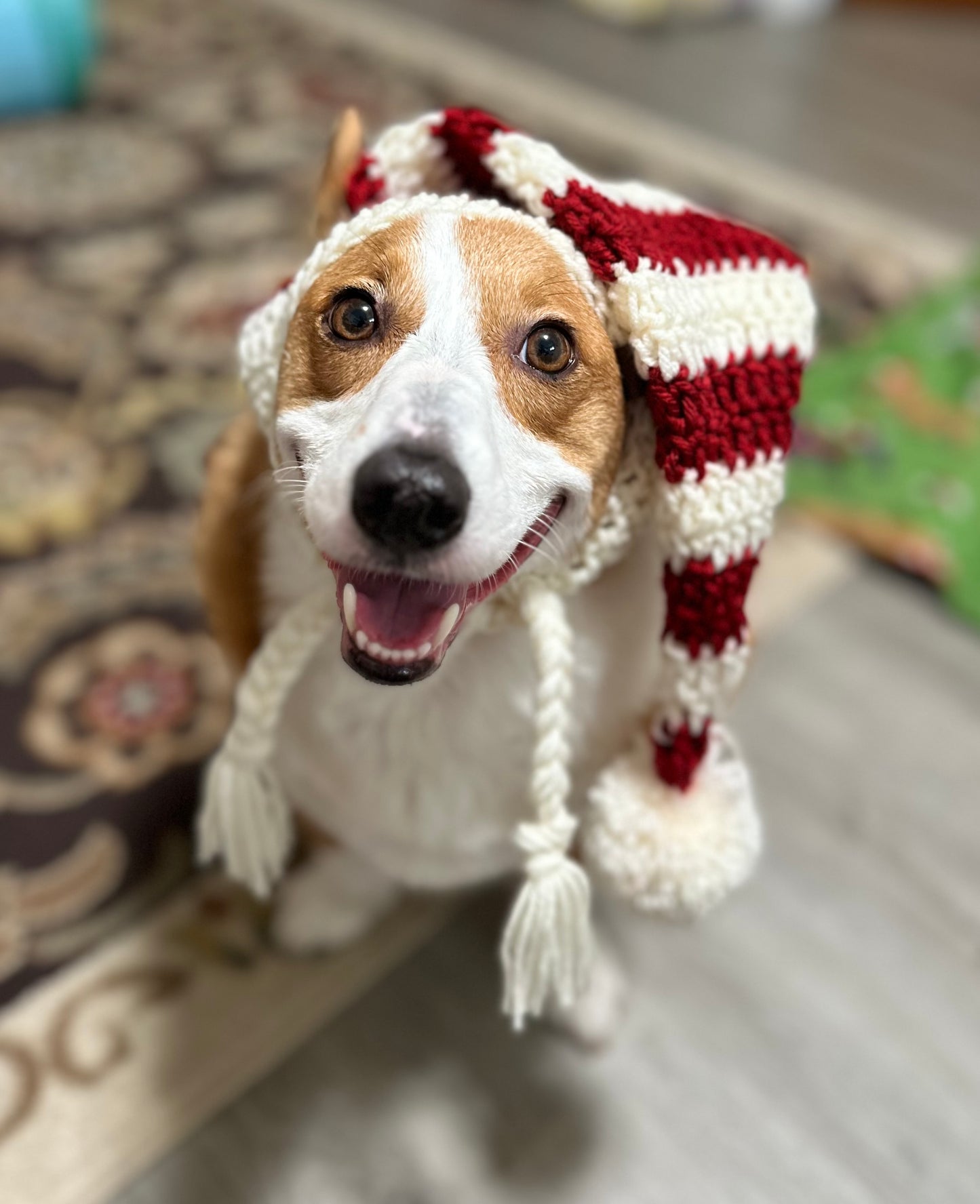 Bonnet de Père Noël en forme de chiot