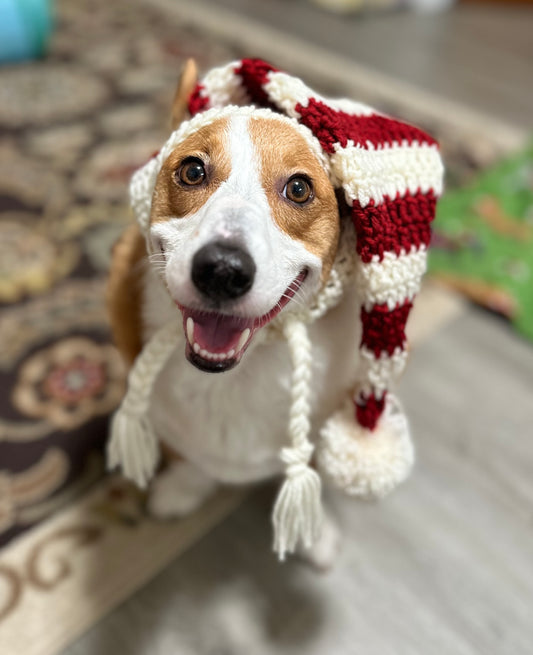 Santa Pupper Beanie