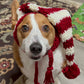 Bonnet de Père Noël en forme de chiot