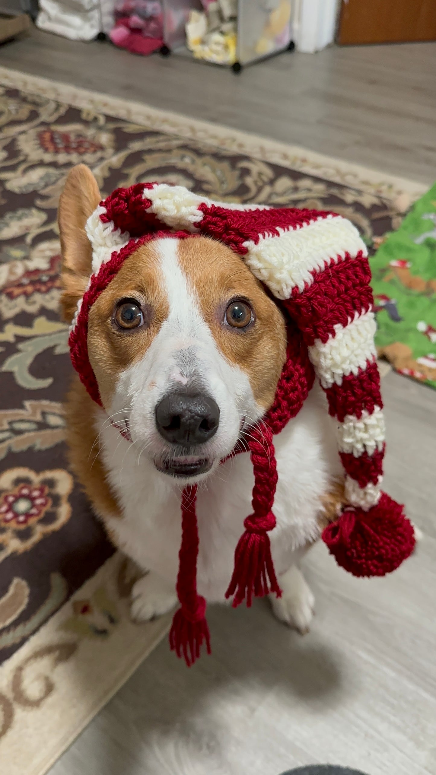 Bonnet de Père Noël en forme de chiot