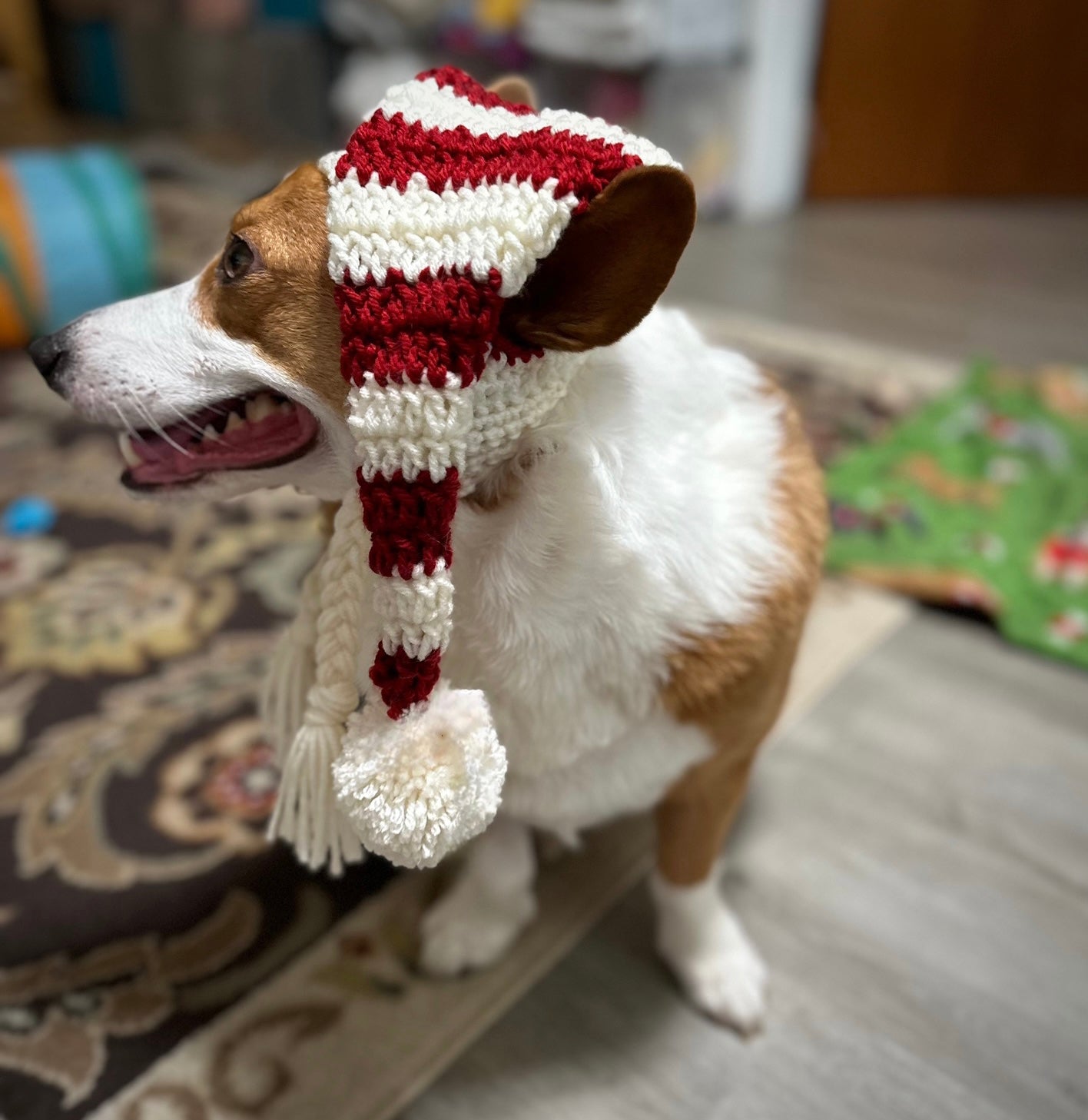 Santa Pupper Beanie