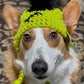 Frankenpup Beanie