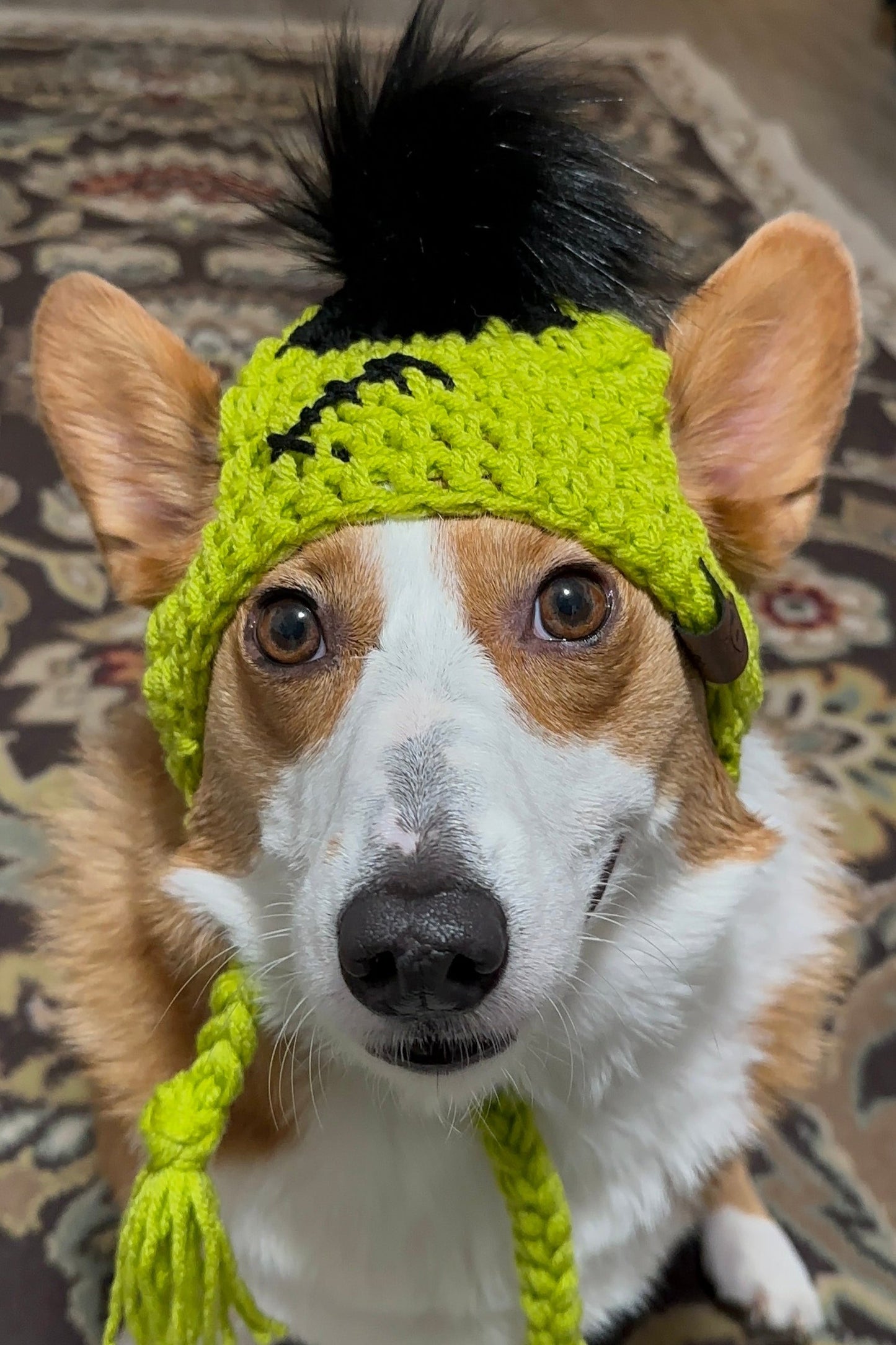 Gorro de Frankenstein