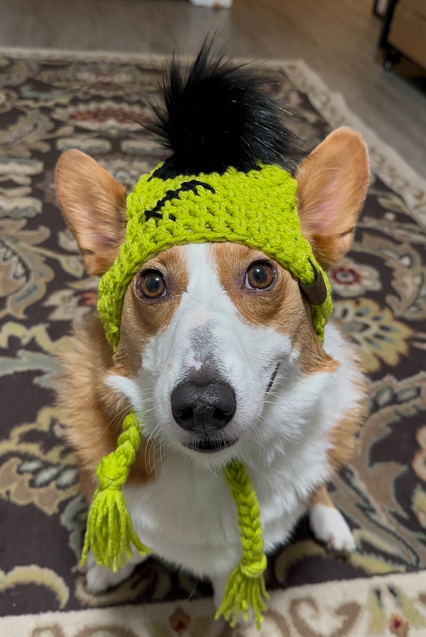 Gorro de Frankenstein