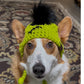 Frankenpup Beanie