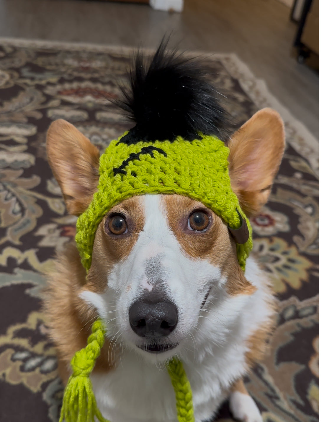 Frankenpup Beanie