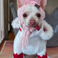 Bonnet de Saint-Valentin Cozy Paws pour chiot