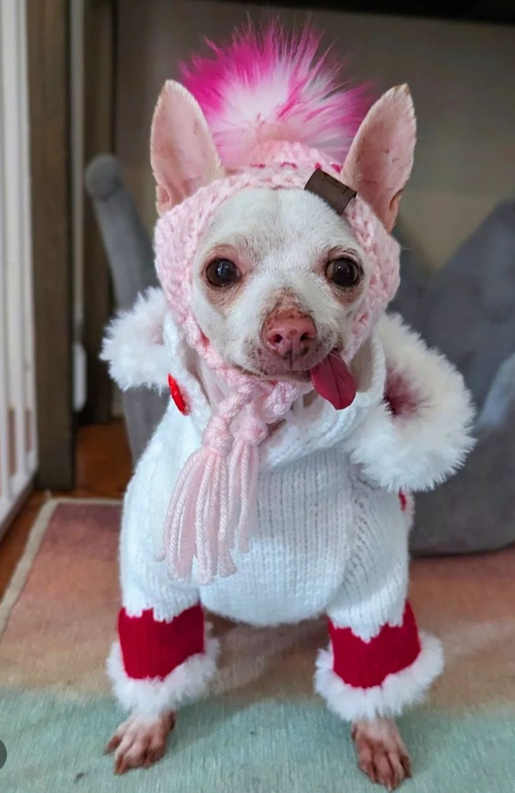 Bonnet de Saint-Valentin Cozy Paws pour chiot