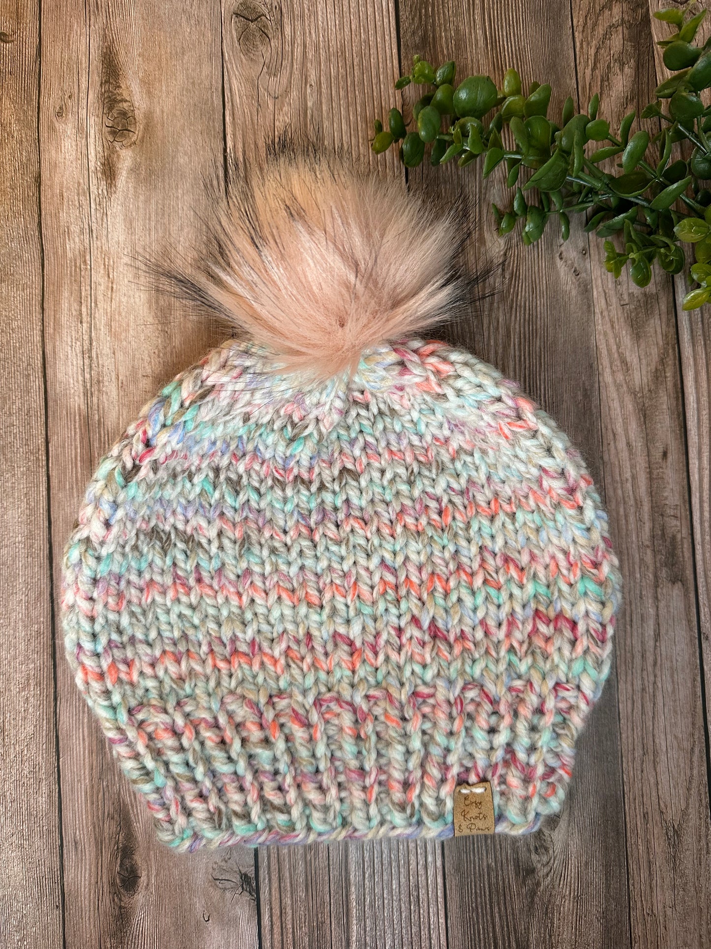 Carousel Adult Beanie