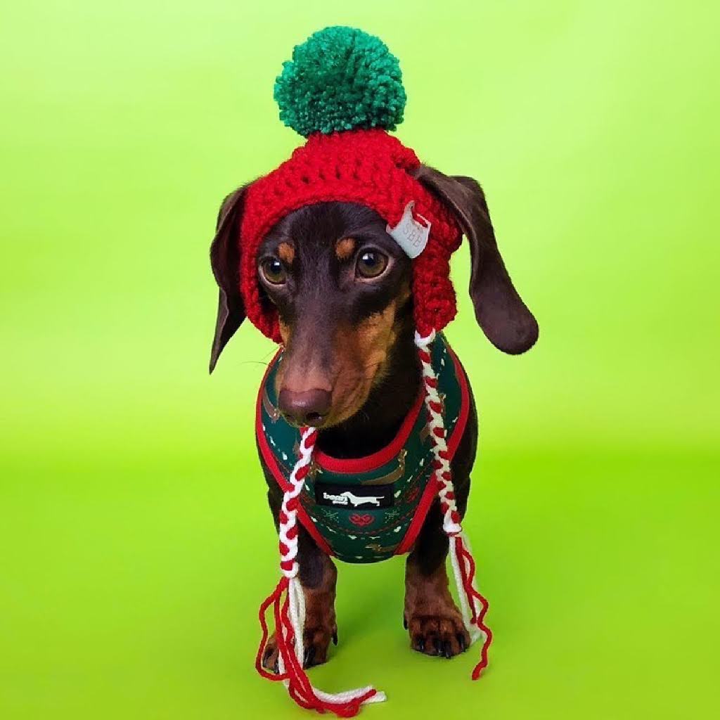 Christmas Pet Beanie