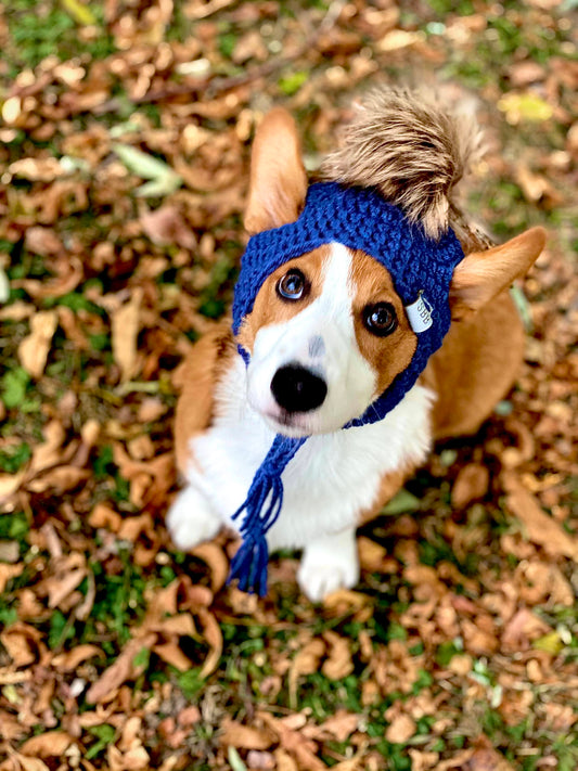 Bonnet pour chiot